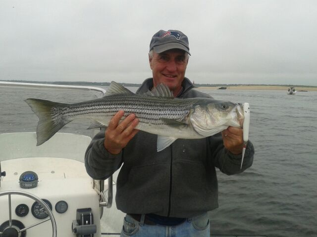 Paul Rogato's striped bass